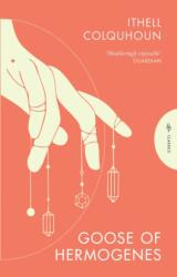 Goose of Hermogenes (ISBN: 9781805331469)