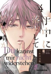 Du kannst mir nicht widerstehen 4 - Melania Schmitz (ISBN: 9783551624819)
