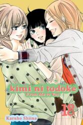Kimi ni Todoke: From Me to You, Vol. 4 (2014)