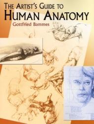Artist's Guide to Human Anatomy - Gottfried Bammes (ISBN: 9780486436418)