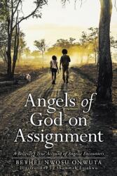 Angels of God on Assignment: A Believer's True Account of Angelic Encounters (ISBN: 9798888325483)