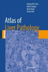 Atlas of Liver Pathology - Anthony W. H. Chan, Alberto Quaglia, Beate Haugk, Alastair Burt (2014)