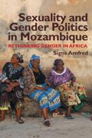 Sexuality and Gender Politics in Mozambique: Re-Thinking Gender in Africa (2014)
