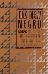 The New Negro (ISBN: 9780684838311)