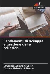 Fondamenti di sviluppo e gestione delle collezioni (ISBN: 9786208518219)