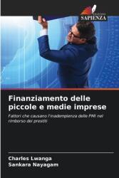 Finanziamento delle piccole e medie imprese (ISBN: 9786208264826)