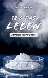 18 amp; das Leben: Crystal Meth Diary (ISBN: 9783711600776)