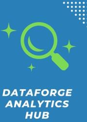 DataForge Analytics Hub (ISBN: 9783390563362)