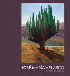 Jose Maria Velasco - Dexter Dalwood (ISBN: 9781857097252)