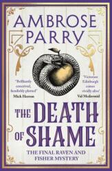 The Death of Shame (ISBN: 9781837263431)