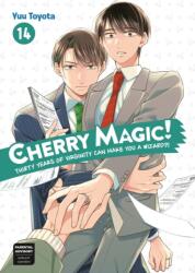 CHERRY MAGIC THIRTY YEARS OF V14 - V14 (2025)