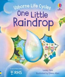 USBORNE LIFE CYCLES - ONE LITTLE RAINDROP (ISBN: 9781805072690)