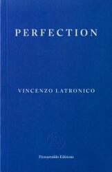 Perfection (ISBN: 9781804271049)