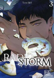 Radio Storm 3 - Seo Kyung, Alexandra Dickmann (ISBN: 9783551630681)