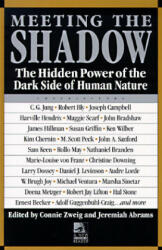 Meeting the Shadow - Connie Zweig, Jeremiah Abrams (ISBN: 9780874776188)