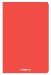 Pantone Official Red 5.25 X 8.25 Inch Lined Compact Journal Non-Dated (ISBN: 9781975480561)