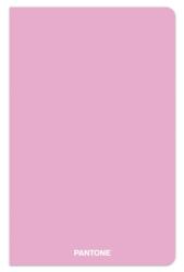 Pantone Official Lilac 5.25 X 8.25 Inch Lined Compact Journal Non-Dated (ISBN: 9781975480585)
