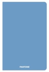 Pantone Official Blue 5.25 X 8.25 Inch Lined Compact Journal Non-Dated (ISBN: 9781975480578)