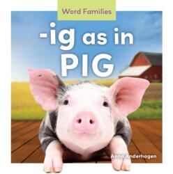 -ig as in Pig (ISBN: 9781098286842)
