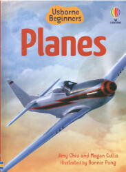 Planes - Usborne Beginners (ISBN: 9781805079644)