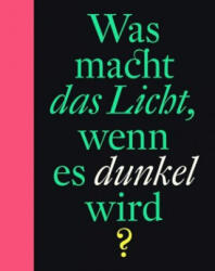 Was macht das Licht, wenn es dunkel wird? (ISBN: 9783946100843)