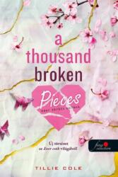 A Thousand Broken Pieces - Ezer törött szilánk (2025)