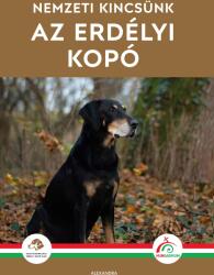 Az erdélyi kopó (2025)