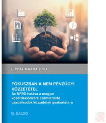 FÓKUSZBAN A NEM PÉNZÜGYI KÖZZÉTÉTEL (ISBN: 9789636387112)