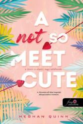 A Not So Meet Cute - A (2025)