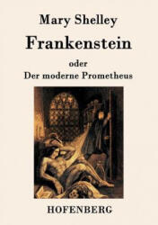 Frankenstein oder Der moderne Prometheus - Mary Shelley (ISBN: 9783843035125)