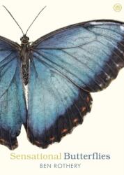 Sensational Butterflies (ISBN: 9780241361054)