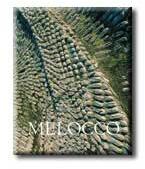Melocco (ISBN: 9789632089812)