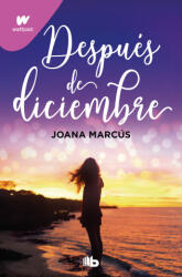DESPUES DE DICIEMBRE (2024)