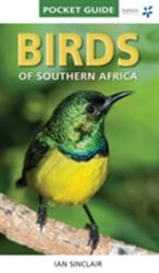 Păsările Africii de Sud (2016)