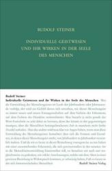 Individuelle Geistwesen und ihr Wirken in der Seele des Menschen (ISBN: 9783727417818)