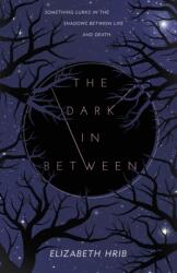 The Dark In-Between (ISBN: 9781250419880)