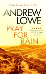 Pray For Rain (ISBN: 9781036703554)