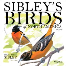 Sibley's Birds of North America 2026 Wall Calendar (ISBN: 9780789348715)