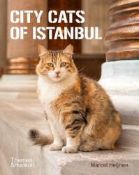 City Cats of Istanbul (ISBN: 9780500298411)