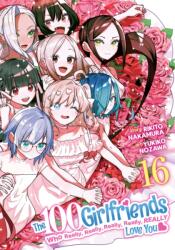 The 100 Girlfriends Who Really, Really, Really, Really, Really Love You Vol. 16 (ISBN: 9798893737462)