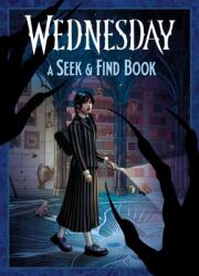 Wednesday A Seek & Find Book (ISBN: 9798217025916)