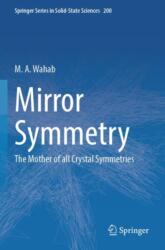Mirror Symmetry (ISBN: 9789819983636)