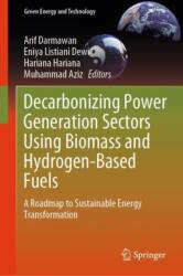 Decarbonizing Power Generation Sectors Using Biomass and Hydrogen-Based Fuels (ISBN: 9789819793594)