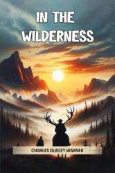 In the Wilderness (ISBN: 9789369079674)