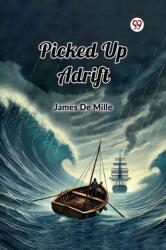 Picked Up Adrift (ISBN: 9789369070893)
