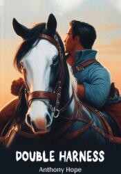 Double Harness (ISBN: 9789368093428)