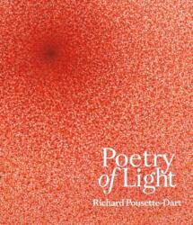 Poetry of Light - Daniel Zamani (ISBN: 9783777445229)