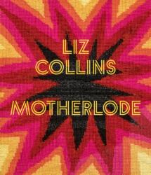 Liz Collins (ISBN: 9783777444482)