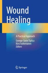 Wound Healing (ISBN: 9783031845789)
