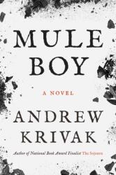 Mule Boy (ISBN: 9781954276468)